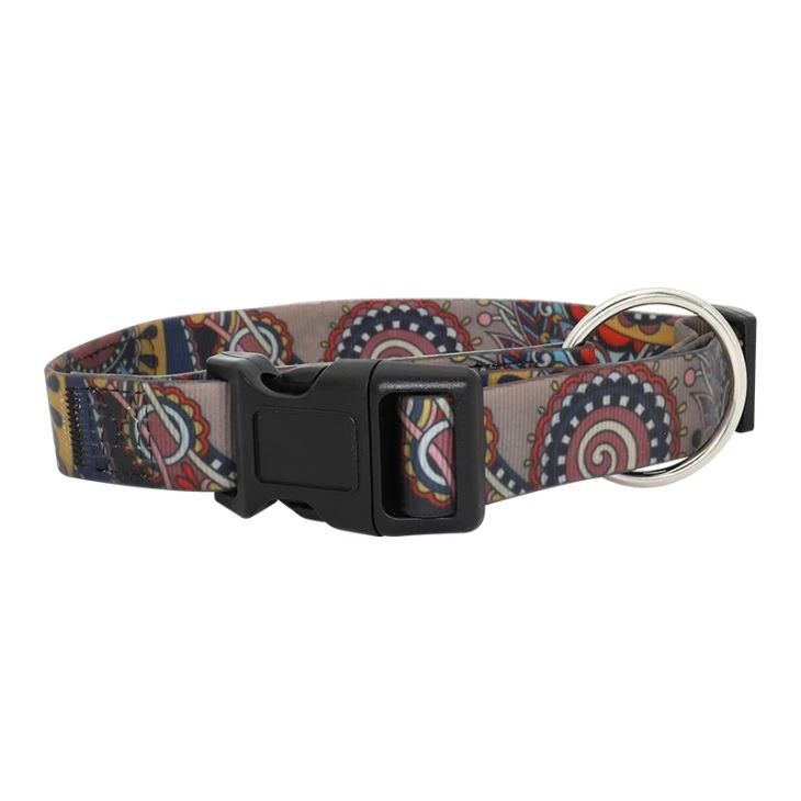 New PVC Coated Polyester Webbing Waterproof Dog Collars